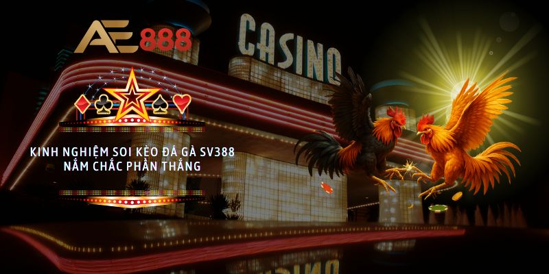 Kinh nghiệm soi kèo đá gà SV388 nắm chắc phần thắng