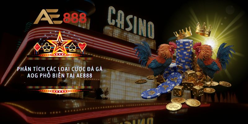 Phân tích các loại cược đá gà AOG phổ biến tại AE888